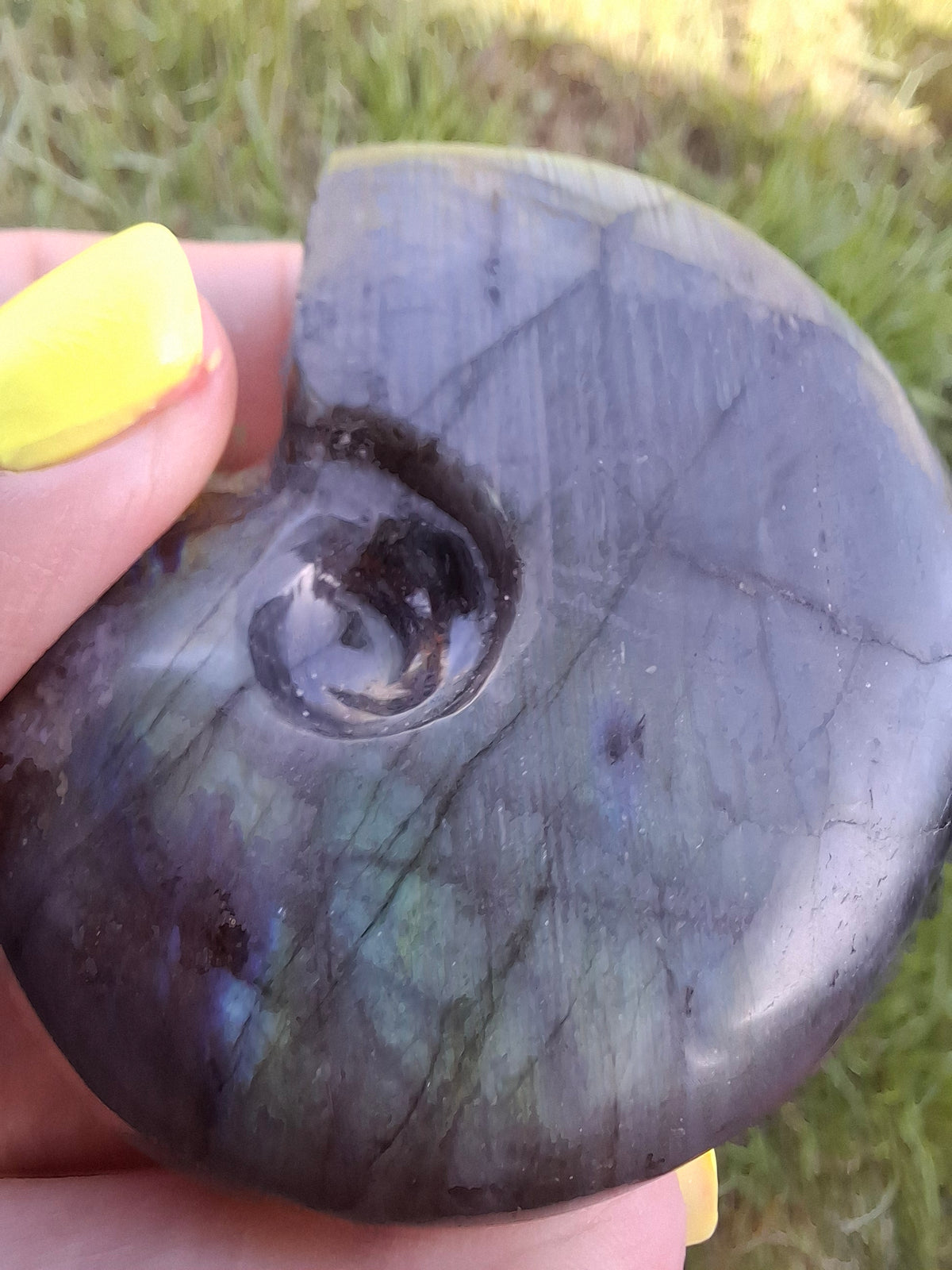 Labradorite Ammonite carving, 96.88g, Crystal (Ref: laba1)