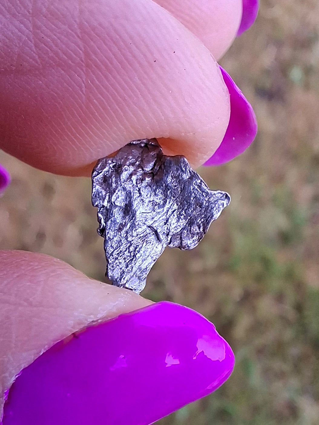 Campo del Cielo, 0.37g, Nickel Iron Meteorite (Ref: C13)