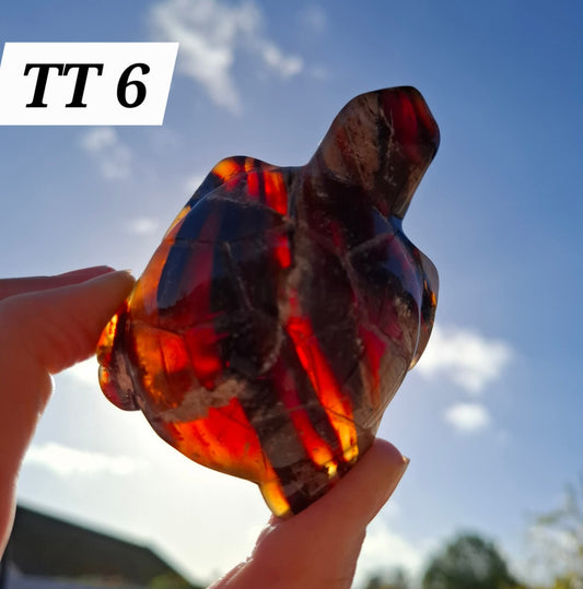 Red Amber Turtle, 50.00g, Carving, Fossil (Ref: TT6)