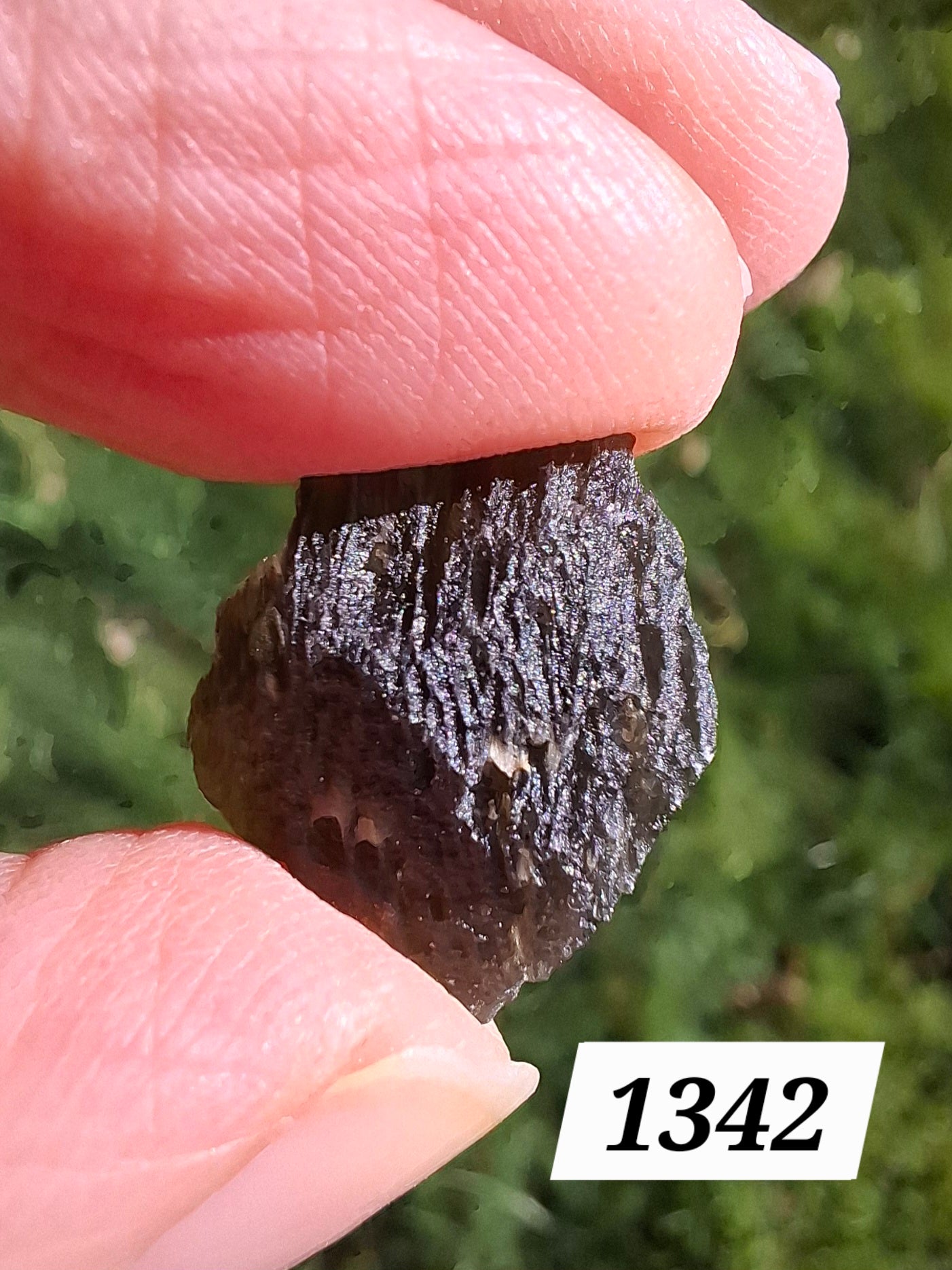 Moldavite Piece, 1.76g, Tektite (Ref: 1342)