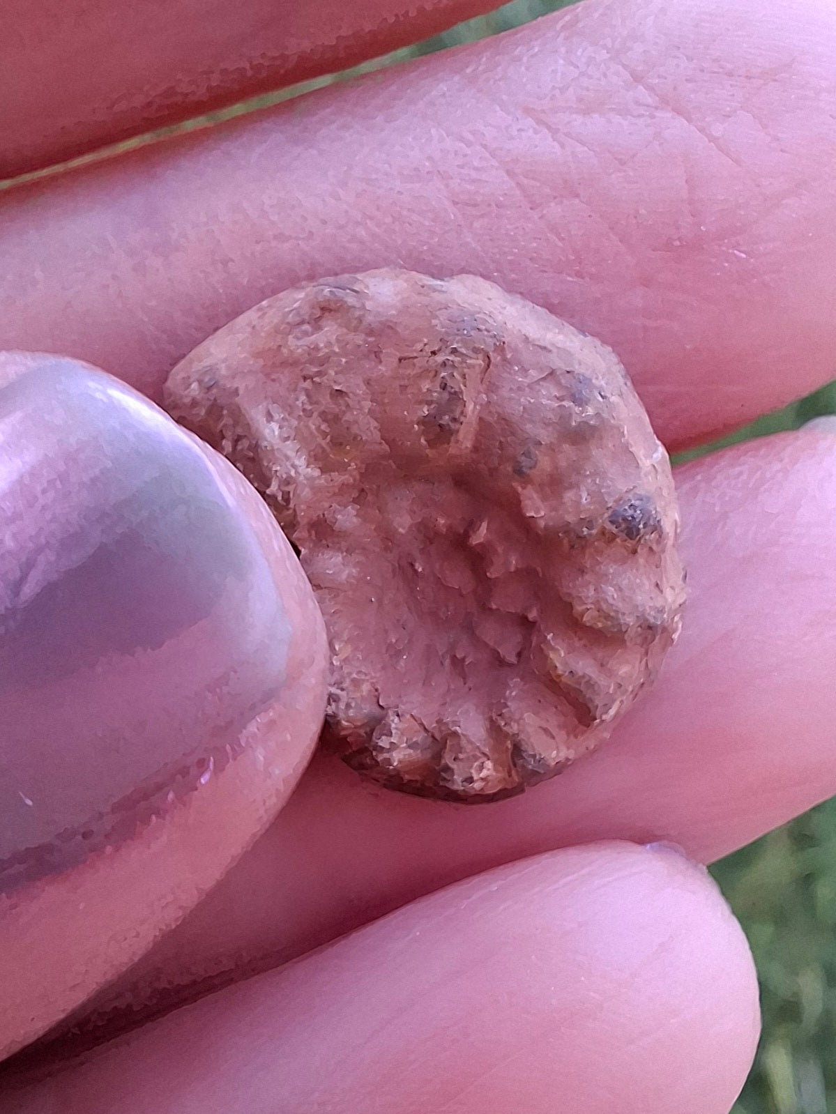 Small Haematite Ammonite HALF, 1.41g, Fossil (Ref: MA6)