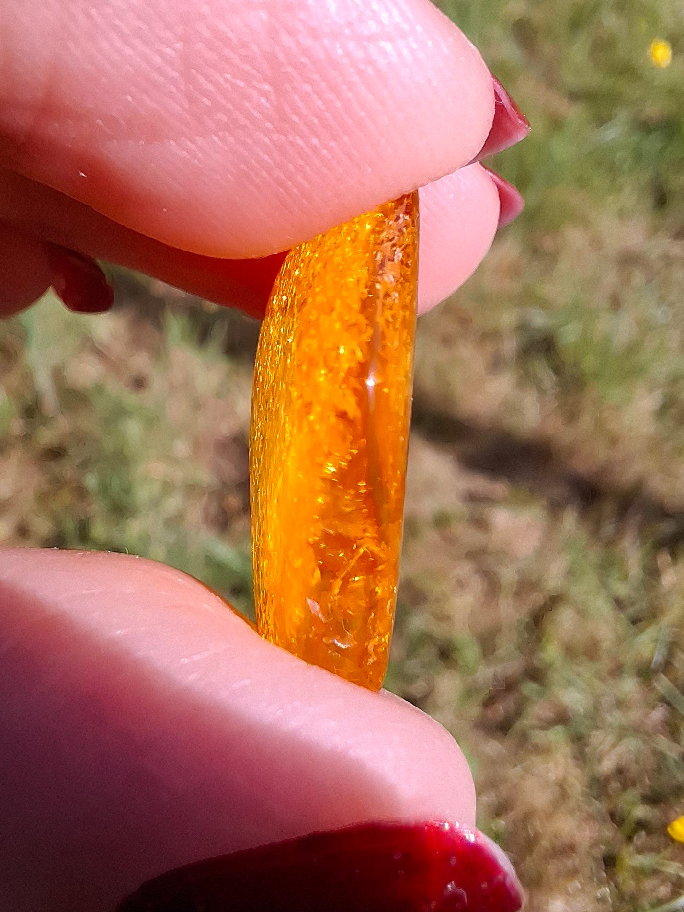 Baltic Amber, 1.37g, Fossil (Ref: A225)