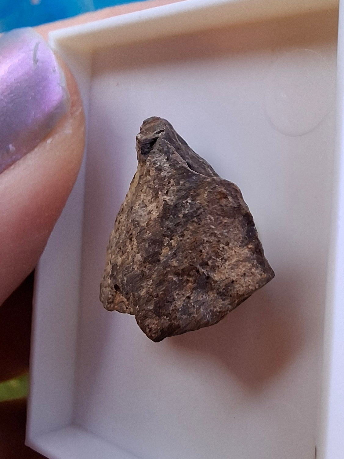 Chondrite, Meteorite (Ref: CM6)