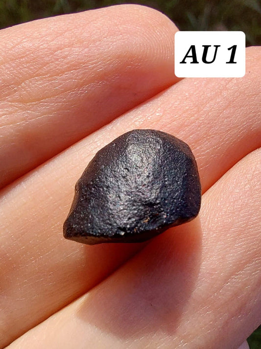 Australite, 1.54g, Tektite (Ref: AU1)
