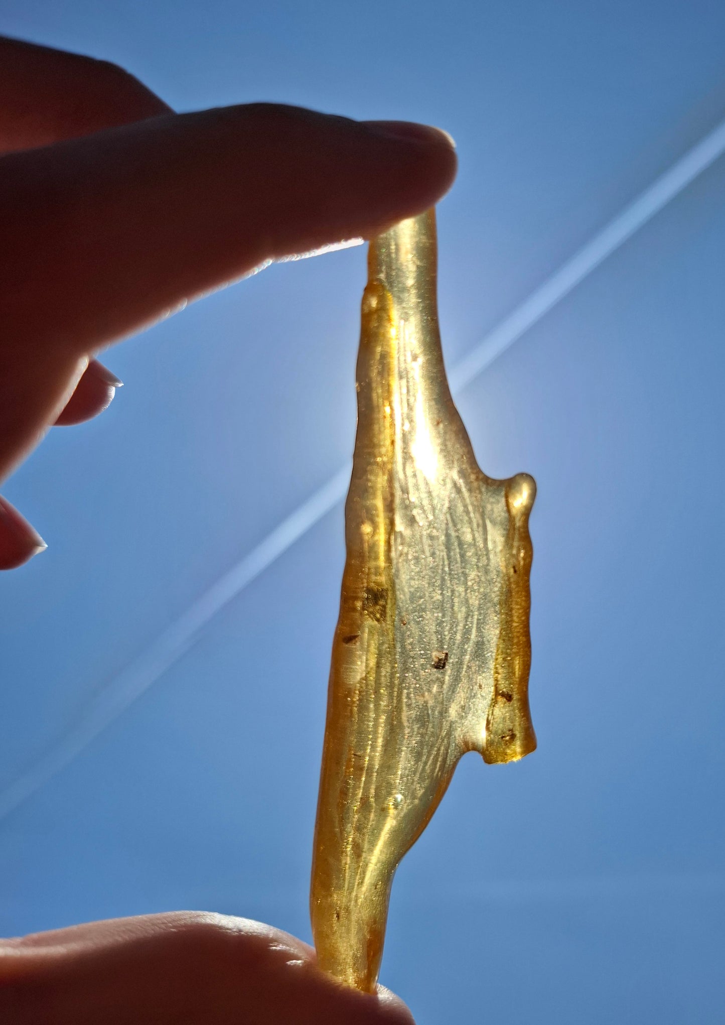 Copal Young Amber with INSECTS inside, 10.79g, Fossil (Ref: CA14)