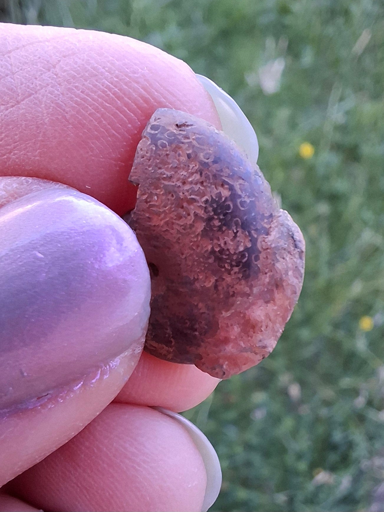 Small Haematite Ammonite HALF, 1.32g, Fossil (Ref: MA5)