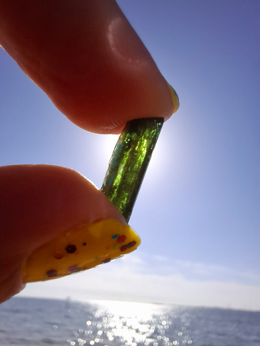 Diopside, 0.64g, Crystal (Ref: DIO8)