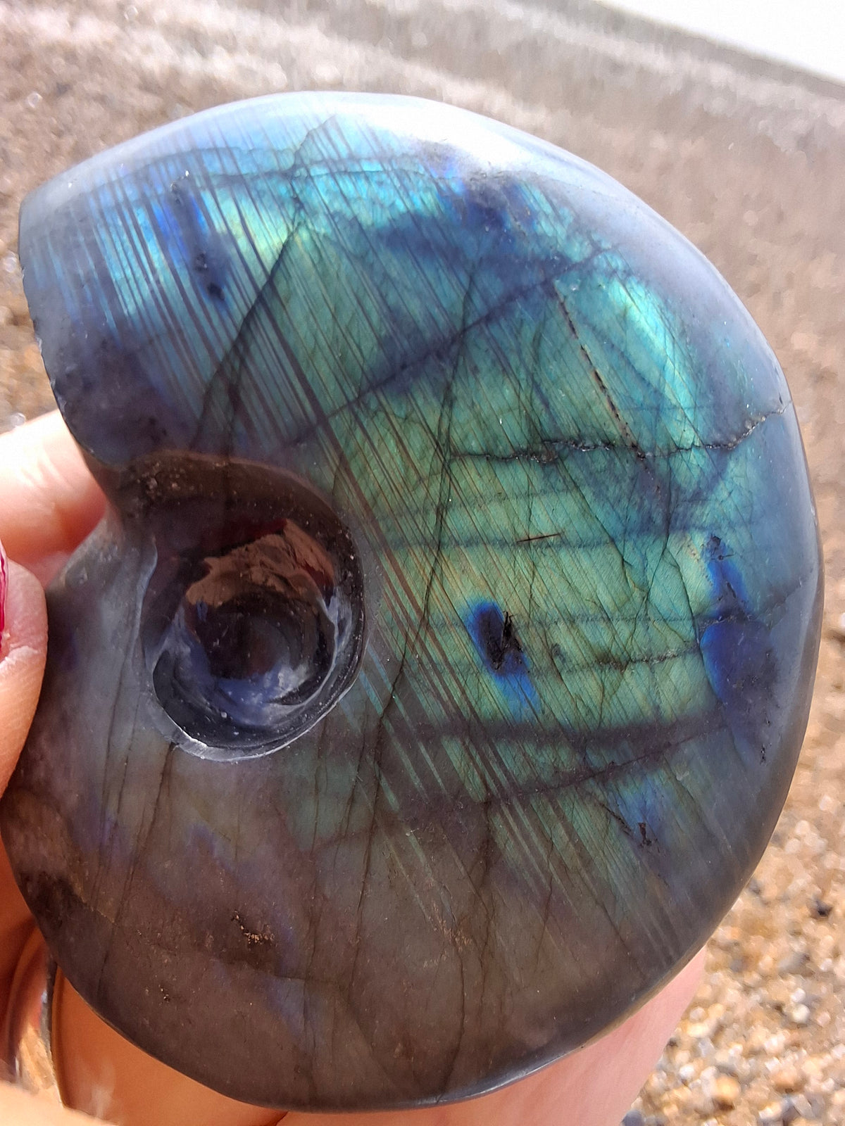 Labradorite Ammonite carving, 96.88g, Crystal (Ref: laba1)