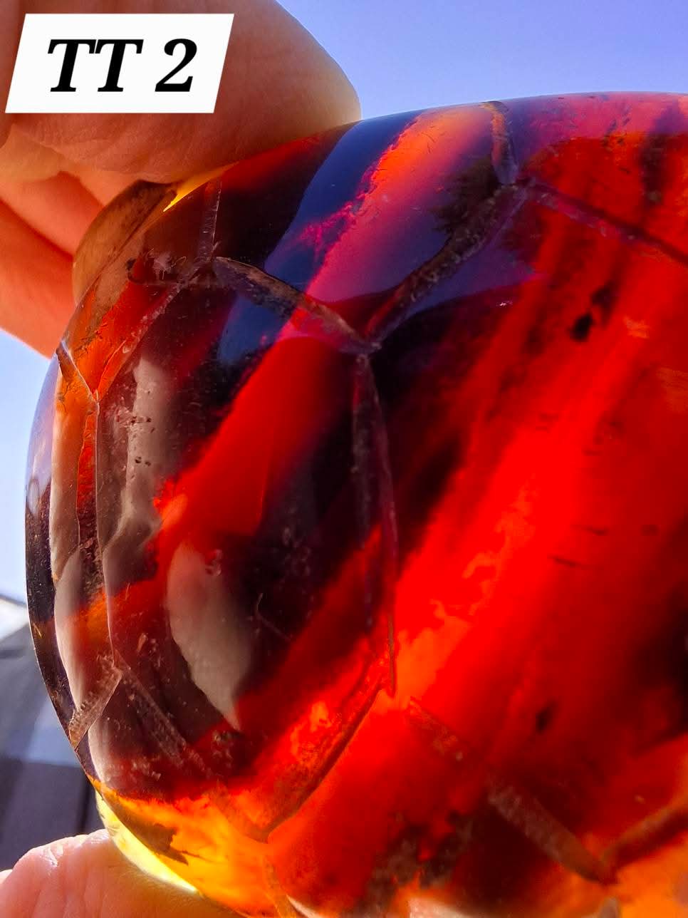 Red Amber Turtle, 56.87g, Carving, Fossil (Ref: TT2)
