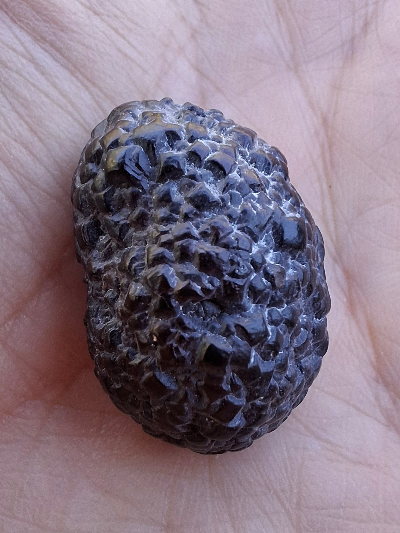 Prophecy Stone, 17.29g (Ref: PS24)