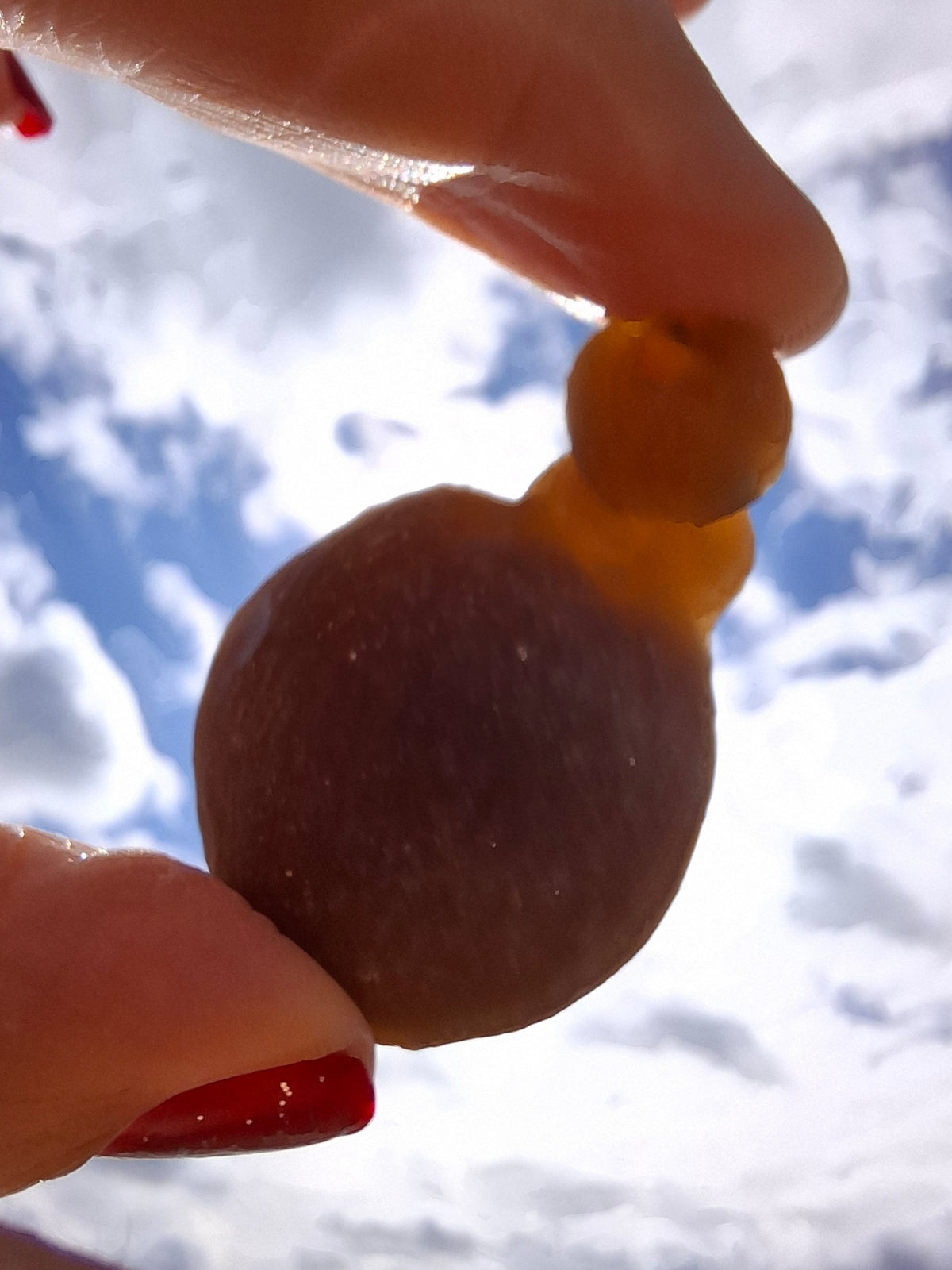 Nebula Chalcedony, 37.96g, Fossil (Ref: NC7)