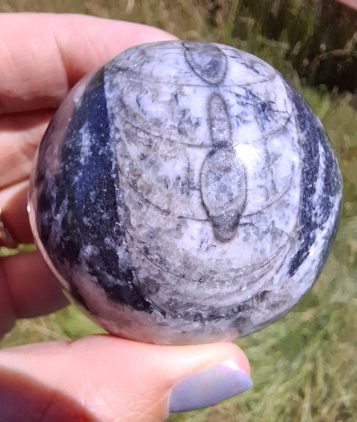 Orthoceras Sphere, Fossil (Ref: OS2)