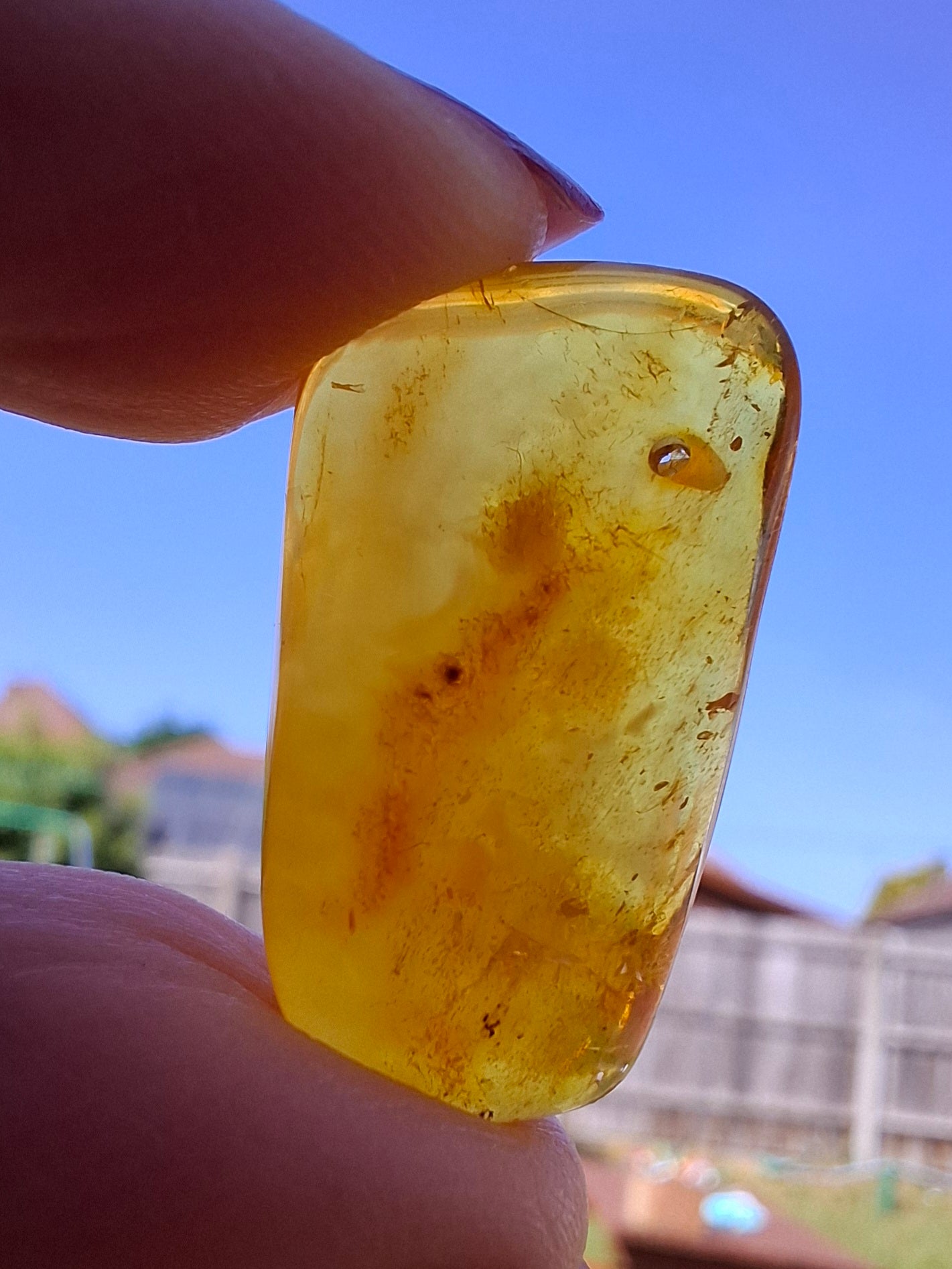 Baltic Amber, 1.55g, Fossil (Ref: A219)