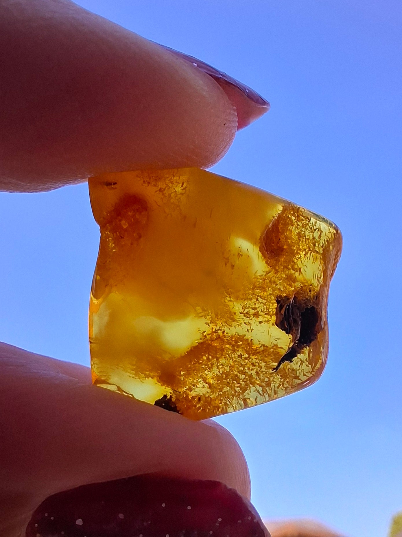 Baltic Amber, 1.74g, Fossil (Ref: A201)