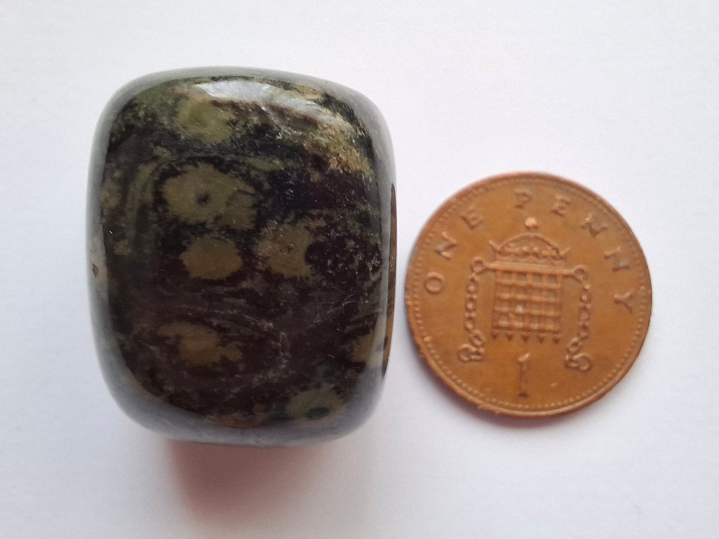 Kambaba Jasper, Tumble Stone, Crystal (Ref: T163)