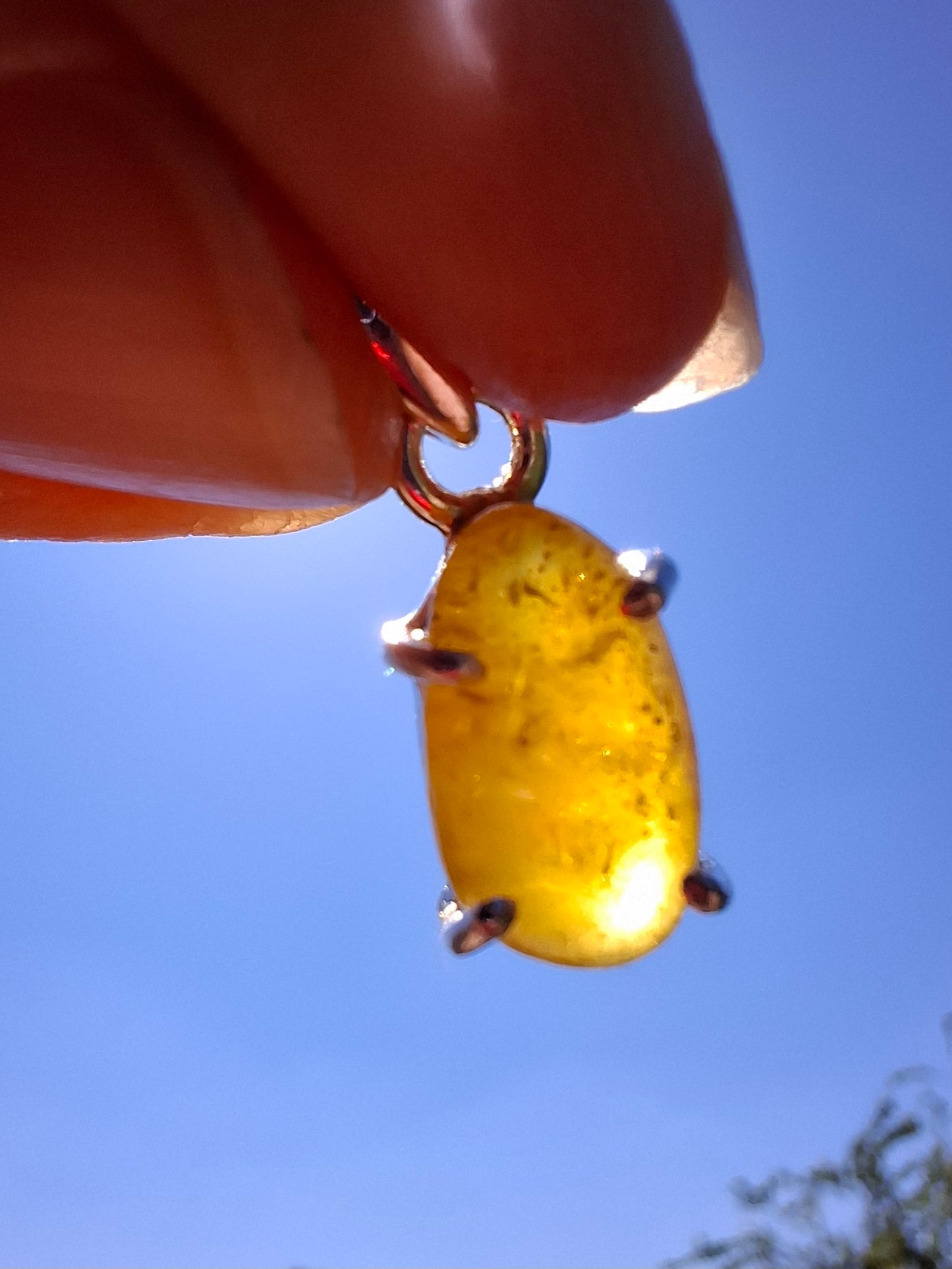 Baltic Amber Pendant, 925 Silver, Fossil (Ref: AP24)