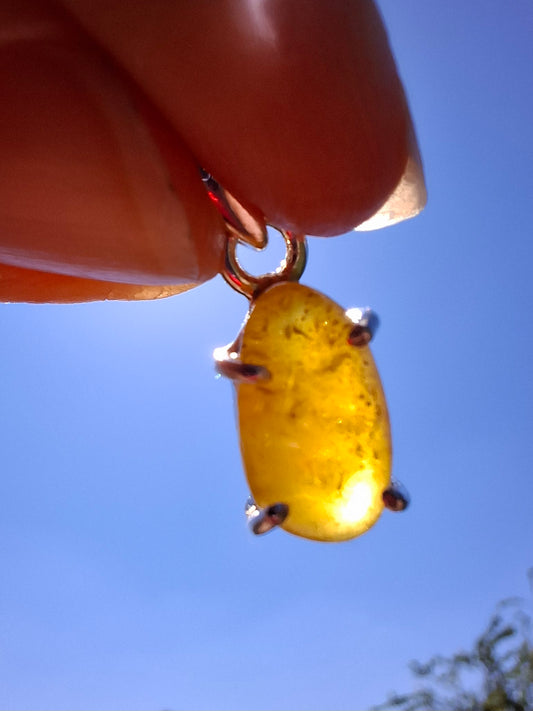 Baltic Amber Pendant, 925 Silver, Fossil (Ref: AP24)