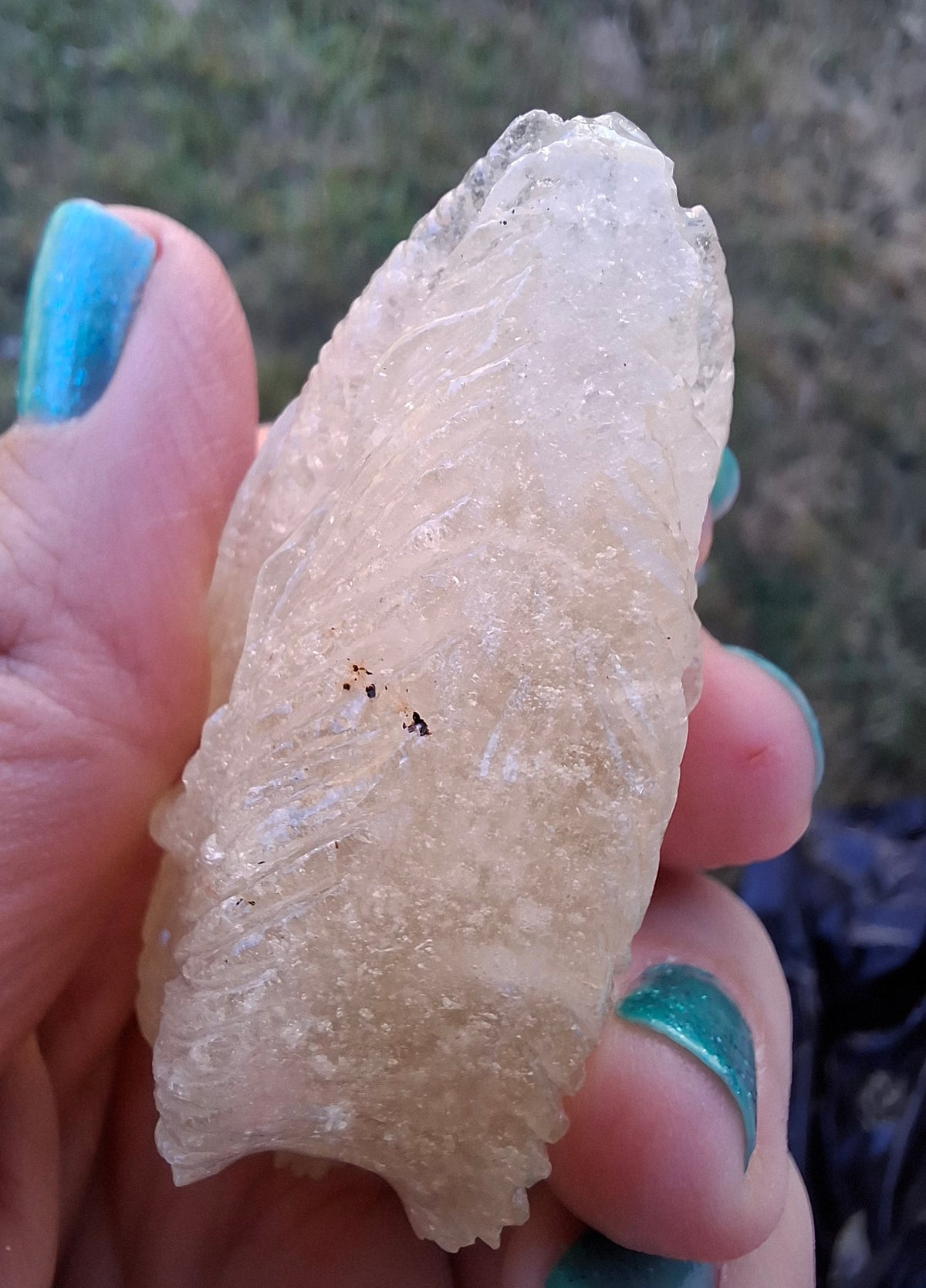 Libyan Desert Glass DRAGON HEAD Carving, 75.84g, Tektite (Ref: Dragon1)