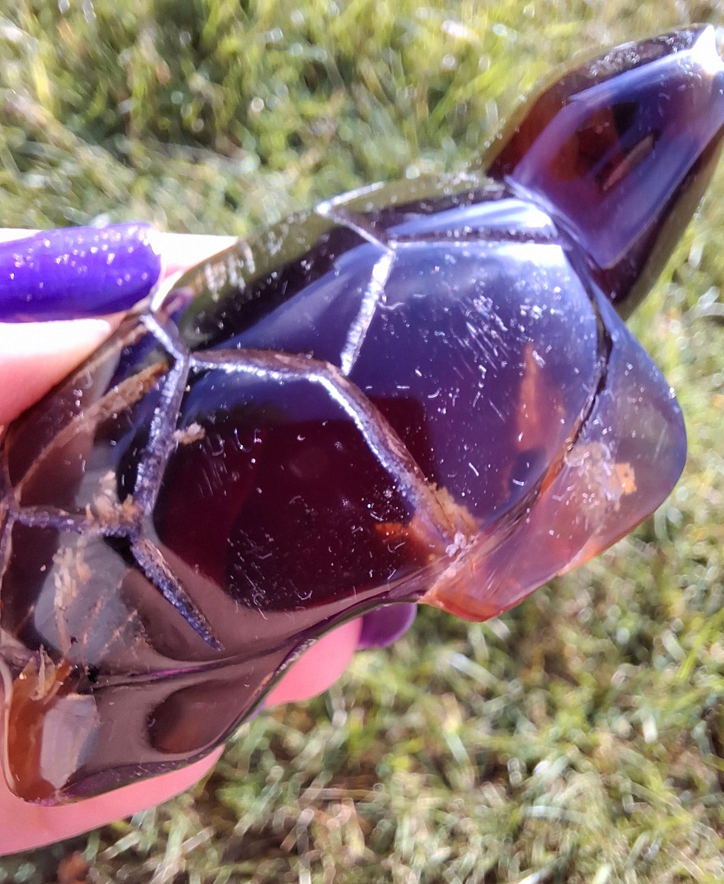 Red Amber Turtle, 52.00g, Carving, Fossil (Ref: TT3)