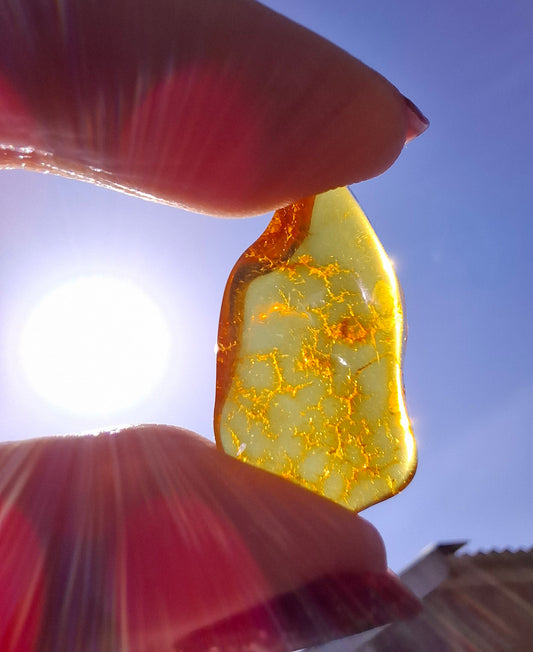 Baltic Amber, 1.16g, Fossil (Ref: A126)