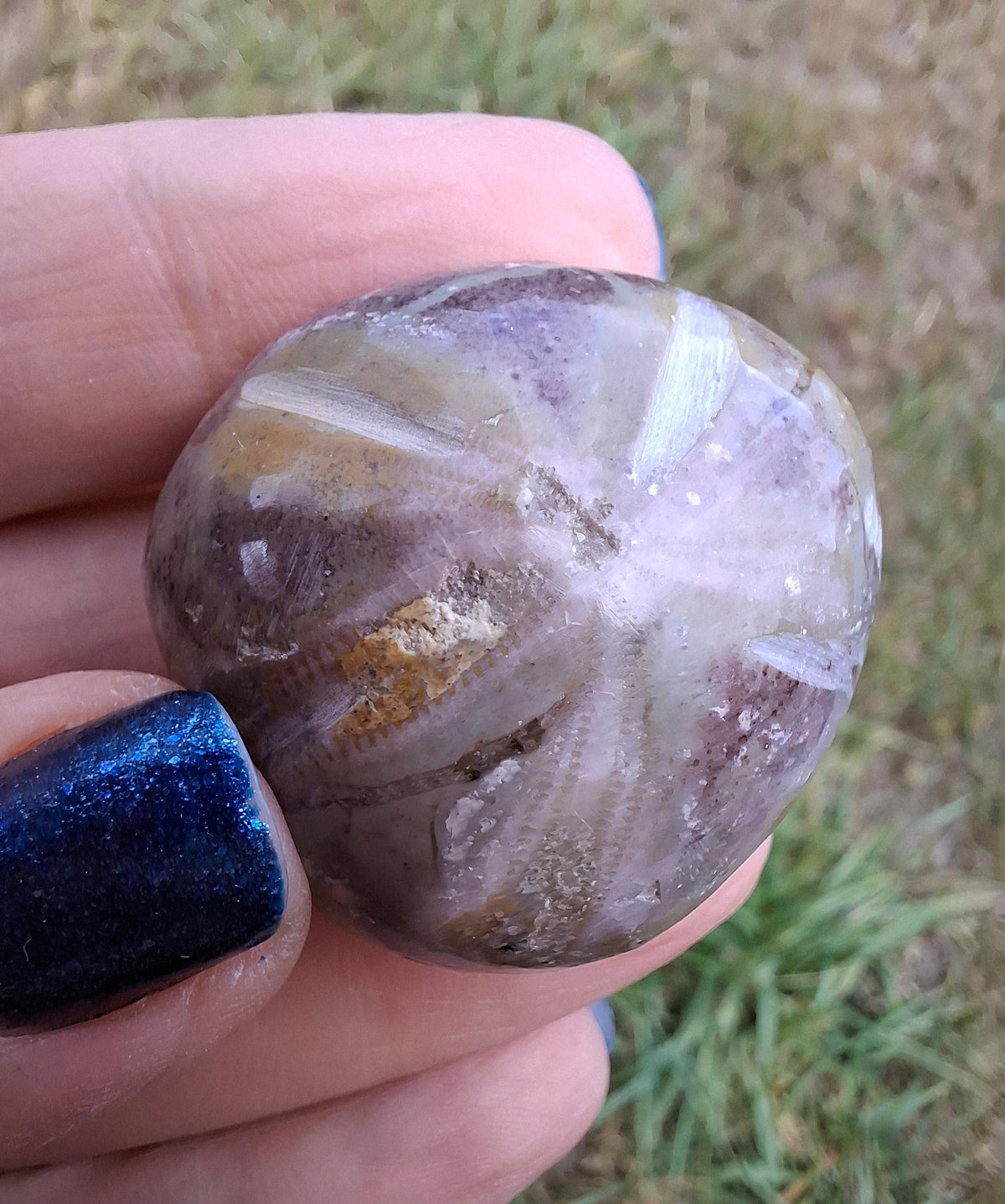 Polished Sea Urchin, Fossil (Ref: SU6)