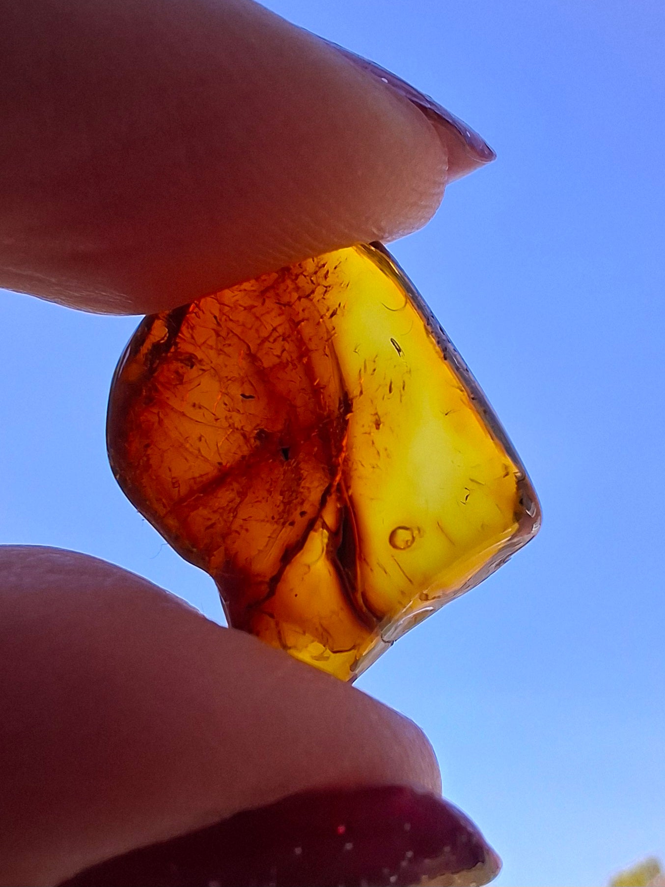 Baltic Amber, 0.94g, Fossil (Ref: A256)