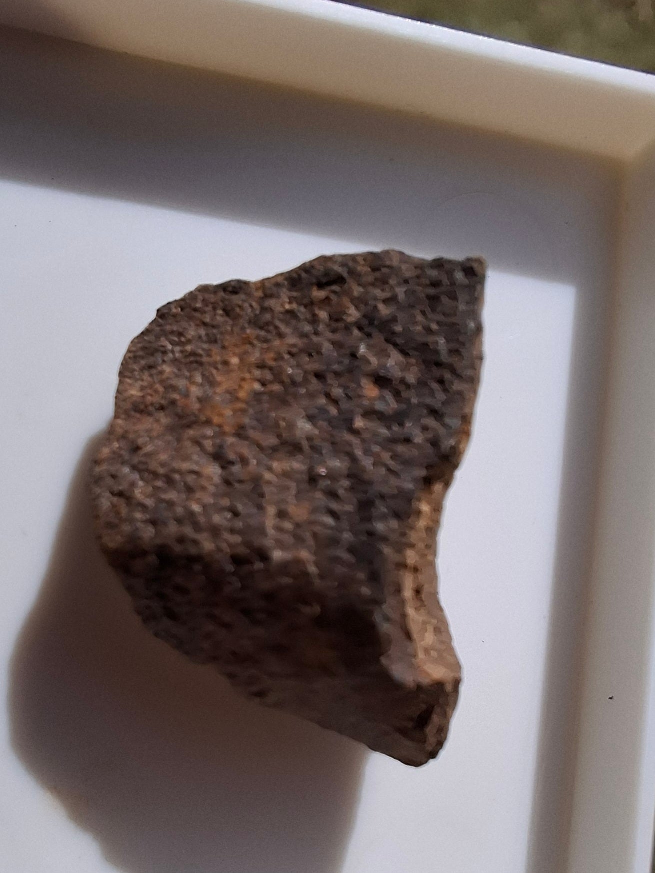 Chondrite, Meteorite (Ref: CM8)