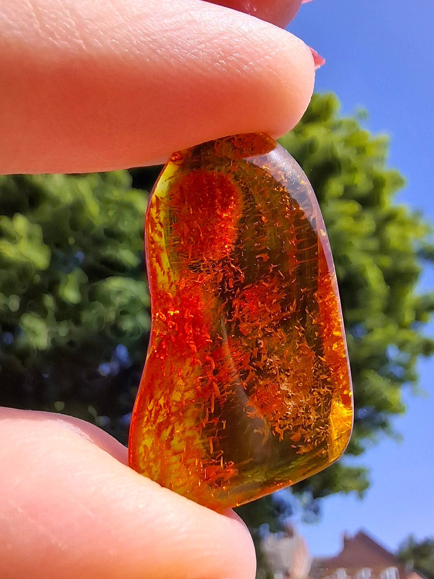 Baltic Amber, 1.94g, Fossil (Ref: A49)