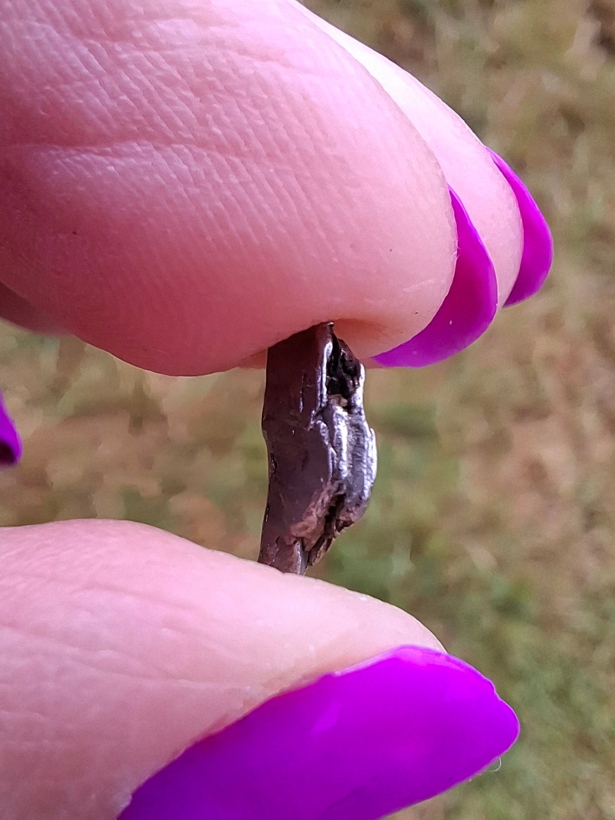 Campo del Cielo, 0.55g, Nickel Iron Meteorite (Ref: C3)