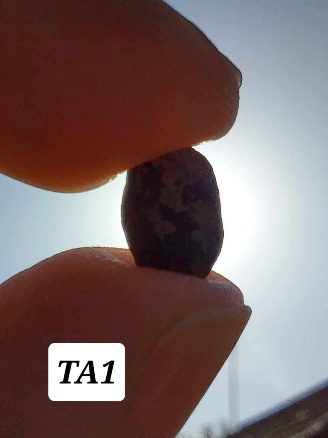 Atacamite, 0.43g, Tektite (Ref: TA1)