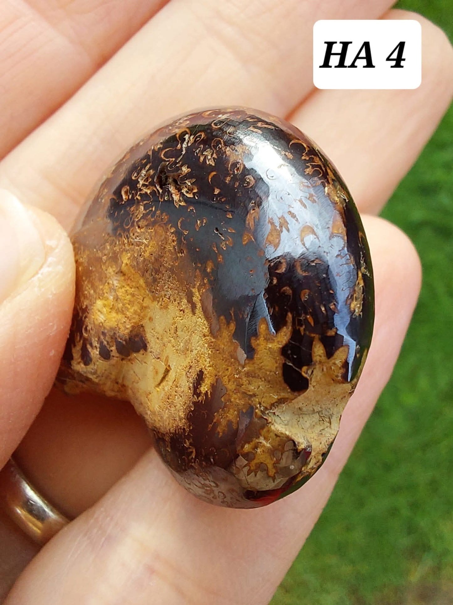 Hematite Ammonite, 18.26g, Fossil (Ref: HA4)