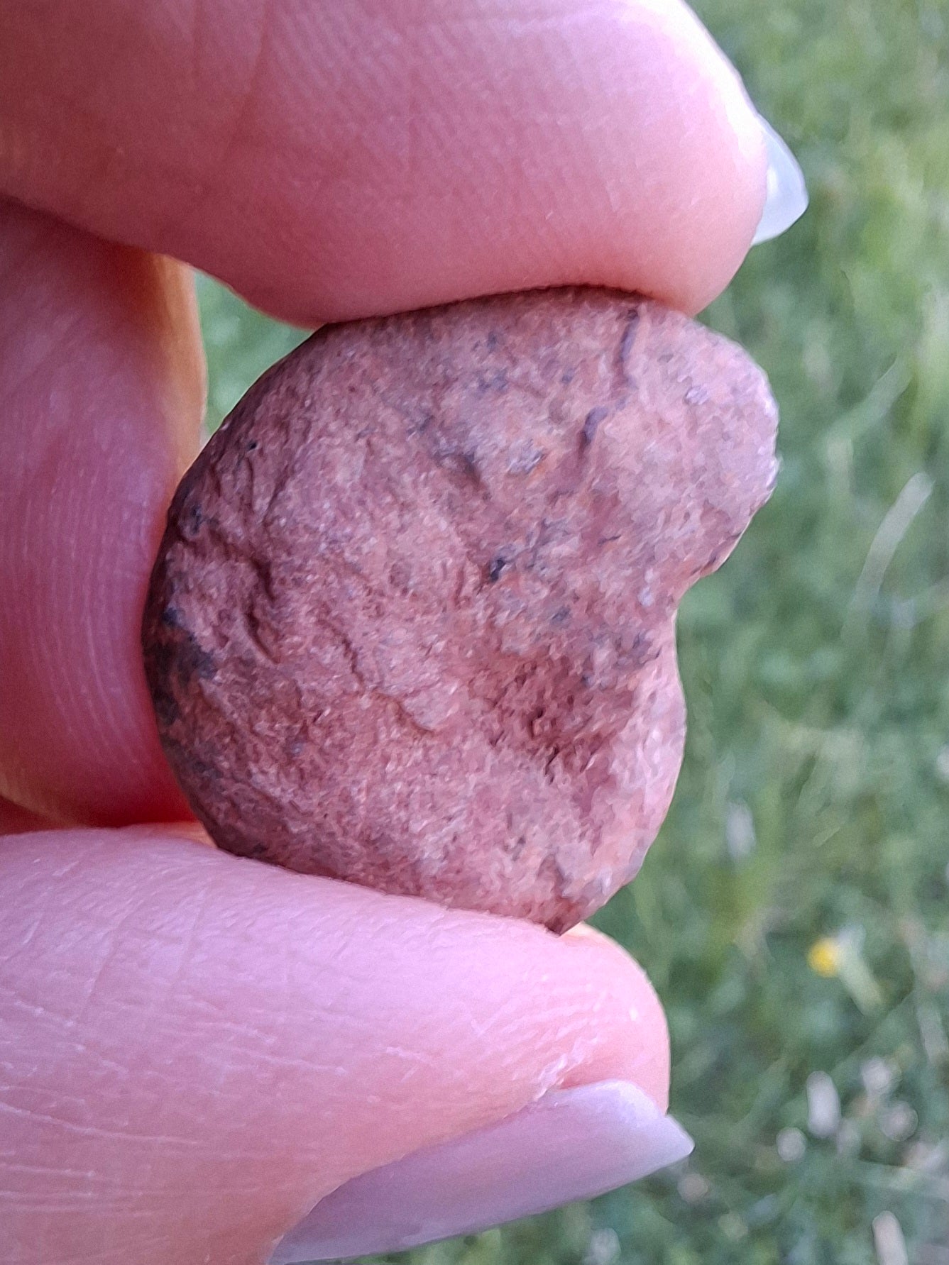 Small Haematite Ammonite HALF, 2.59g, Fossil (Ref: MA7)