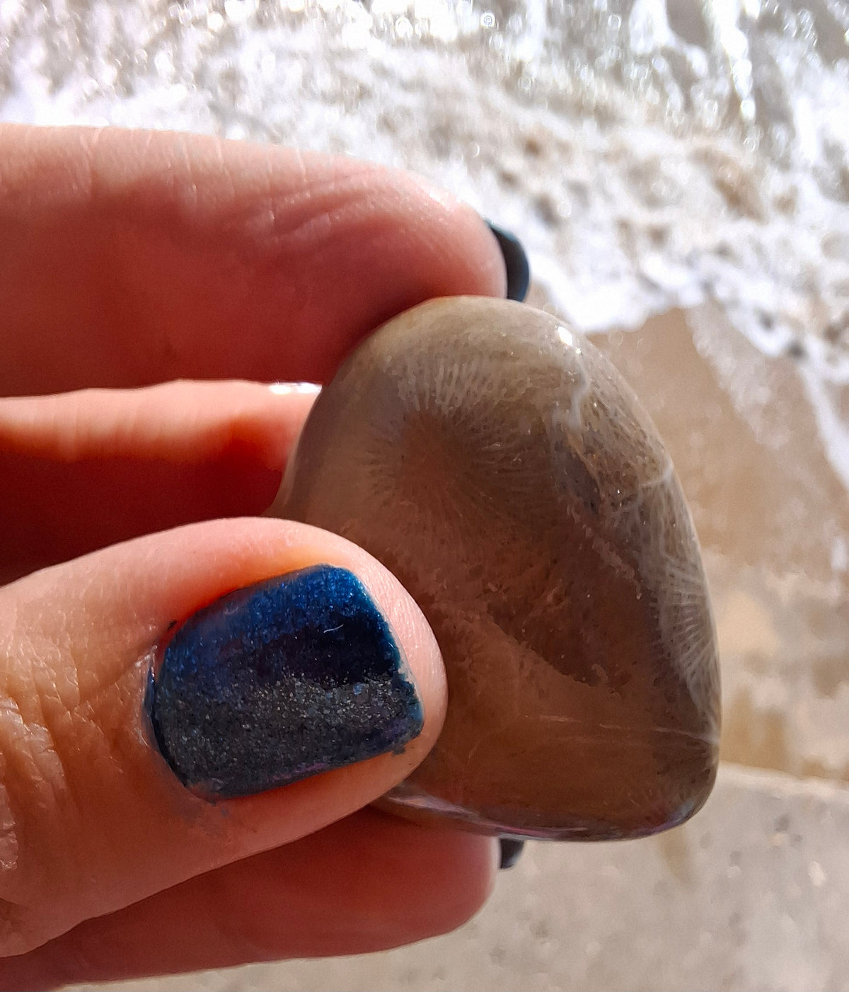 Fossil Coral Heart, (Ref: CoH2)