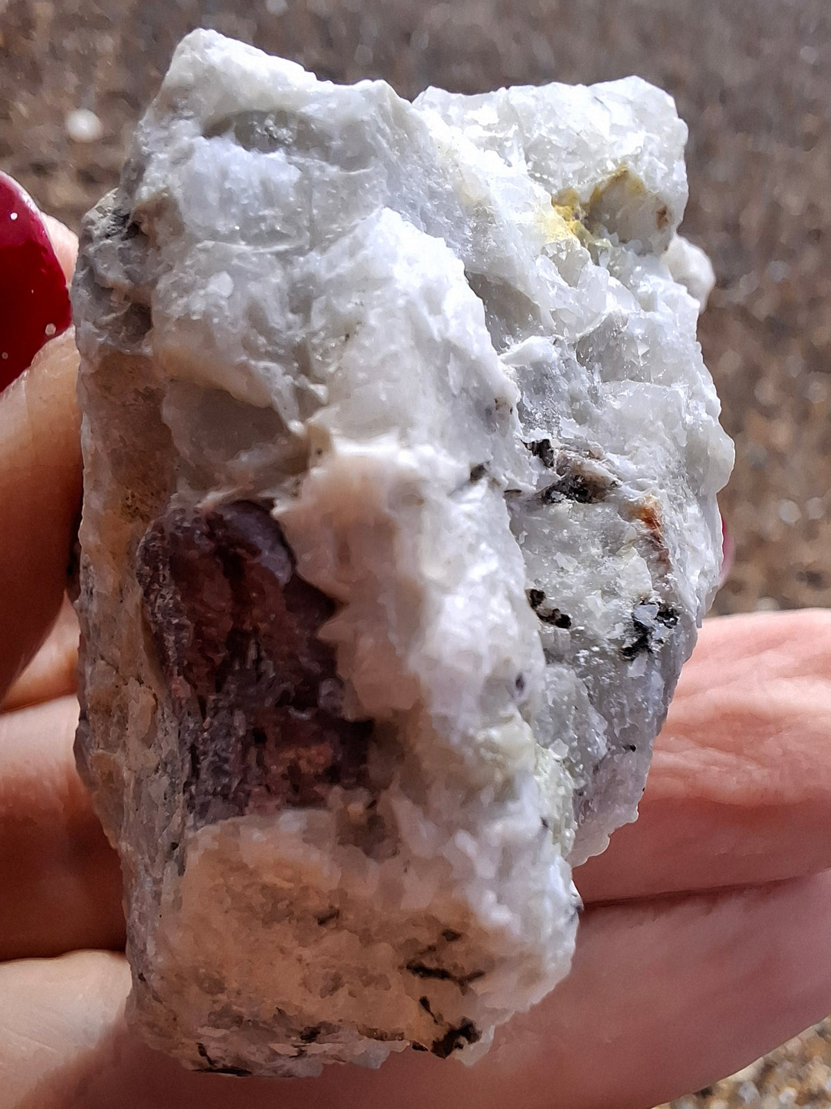 (Dig your own) Garnet in Matrix, Crystal (Ref: RG3)