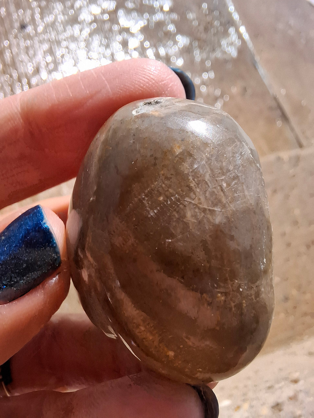 Polished Sea Urchin, Fossil (Ref: SU3)