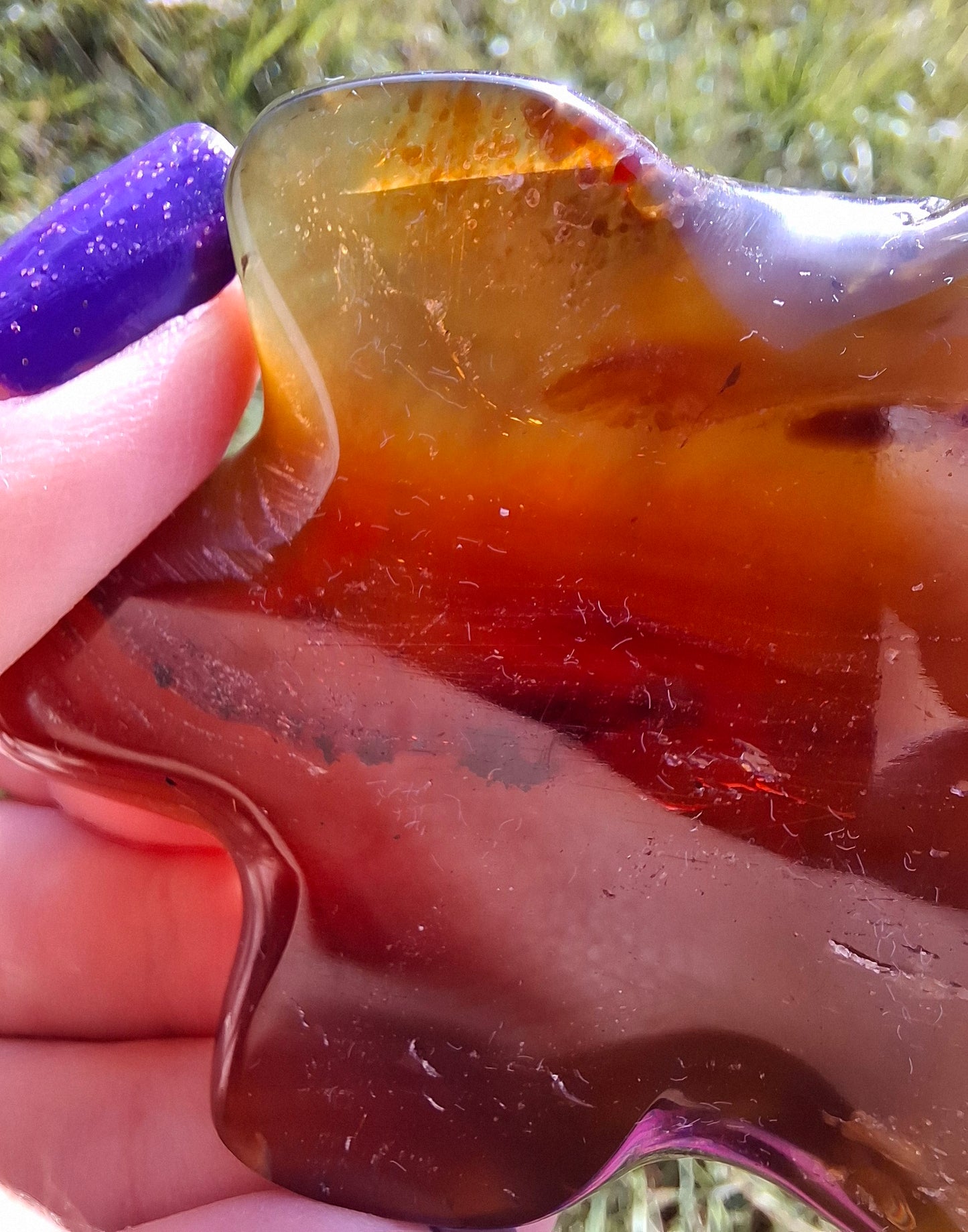 Red Amber Turtle, 49.15g, Carving, Fossil (Ref: TT1)