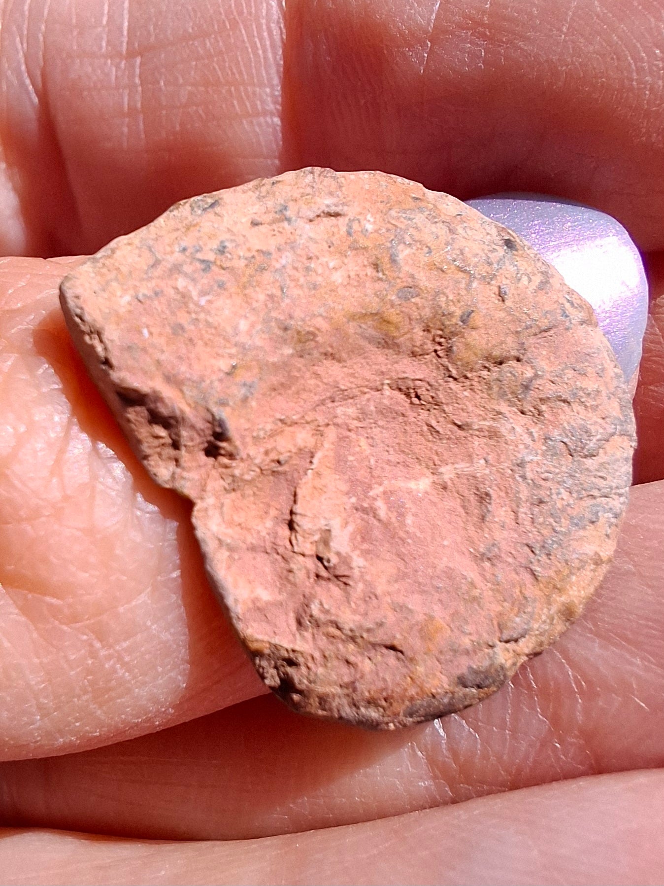 Small Haematite Ammonite HALF, 1.66g, Fossil (Ref: MA2)