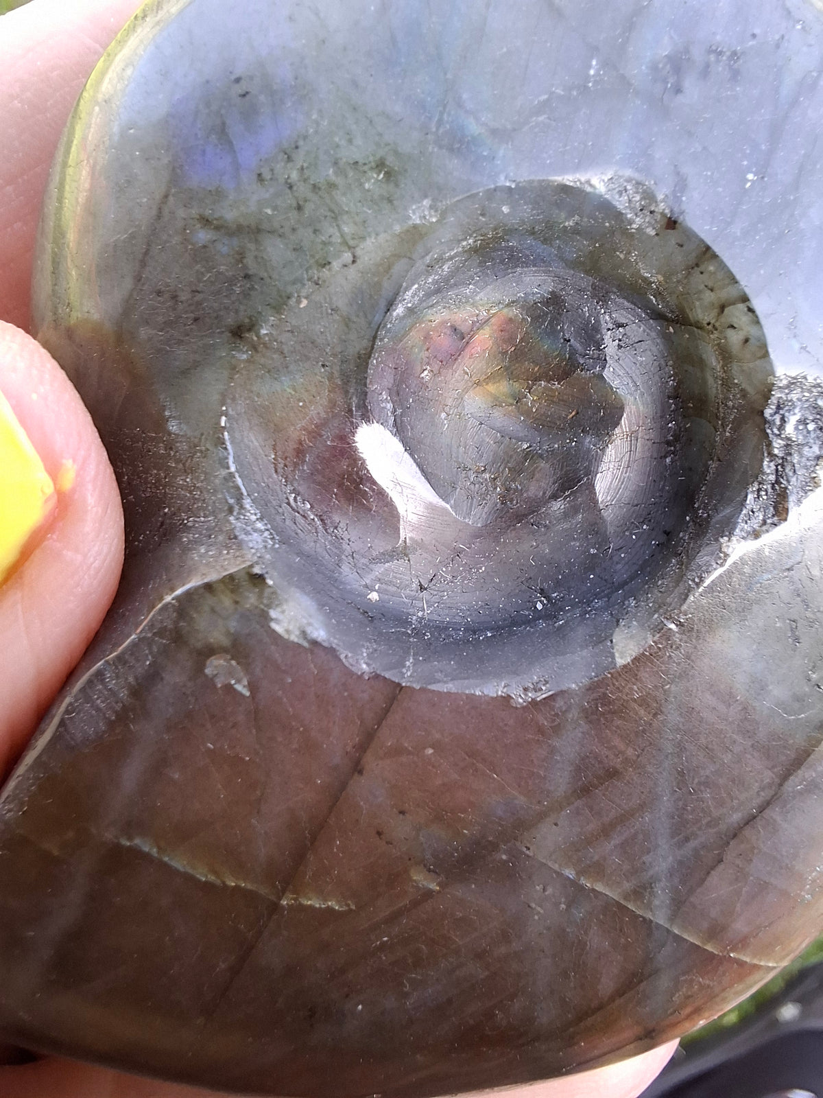 Labradorite Ammonite Carving, 146.90g, Crystal (Ref: laba5)