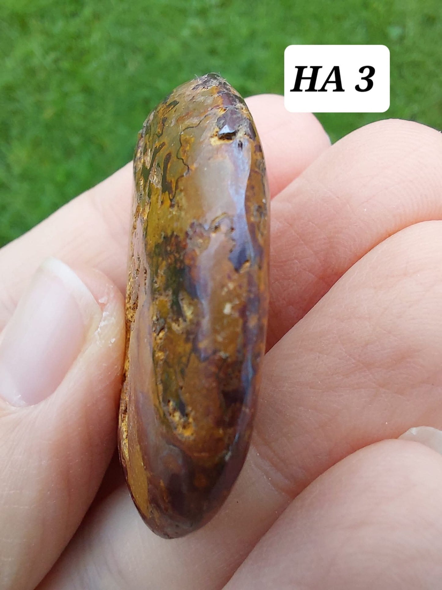 Hematite Ammonite, 16.00g, Fossil (Ref: HA3)