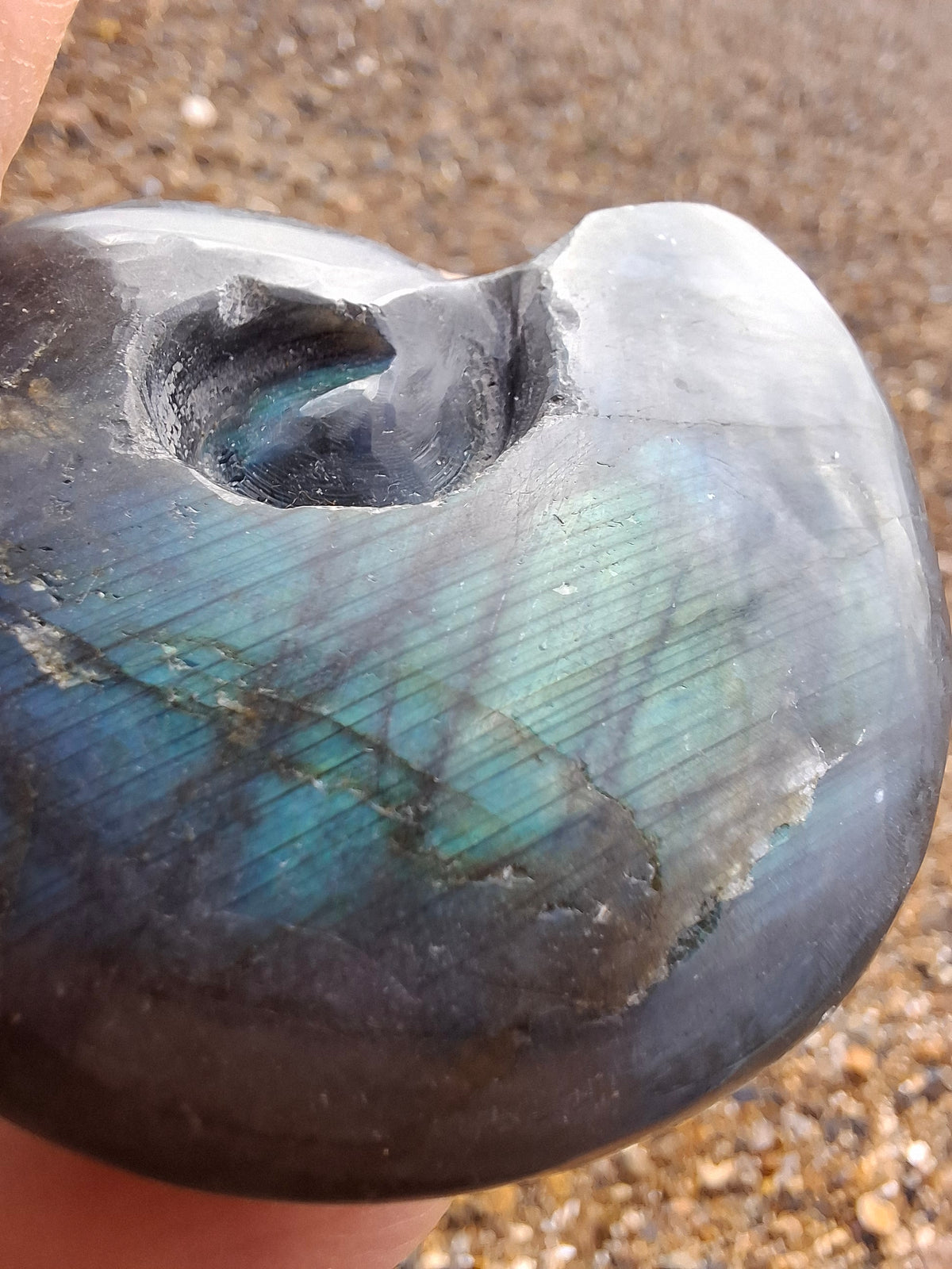 Labradorite Ammonite Carving, 111.66g, Crystal (Ref: laba3)