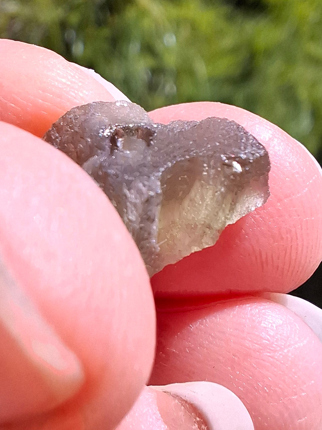 DRILLED, Moldavite Piece, 1.07g, Tektite (Ref: D17)