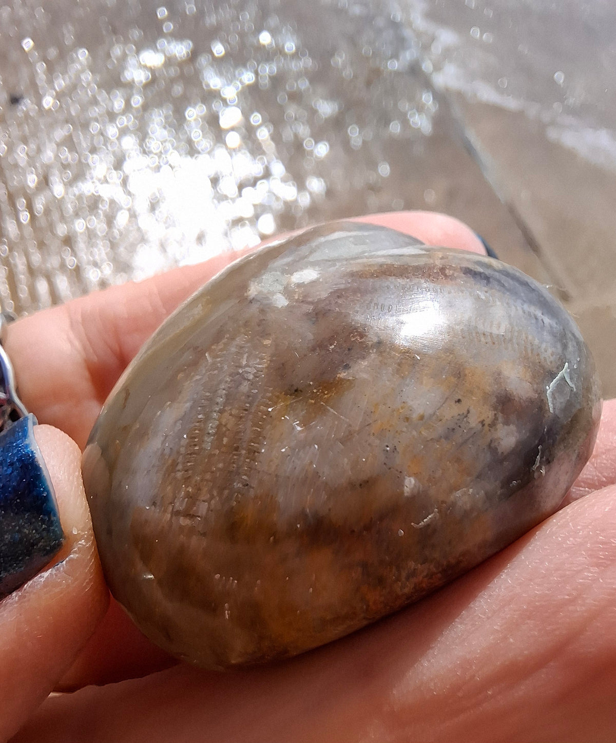 Polished Sea Urchin, Fossil (Ref: SU3)