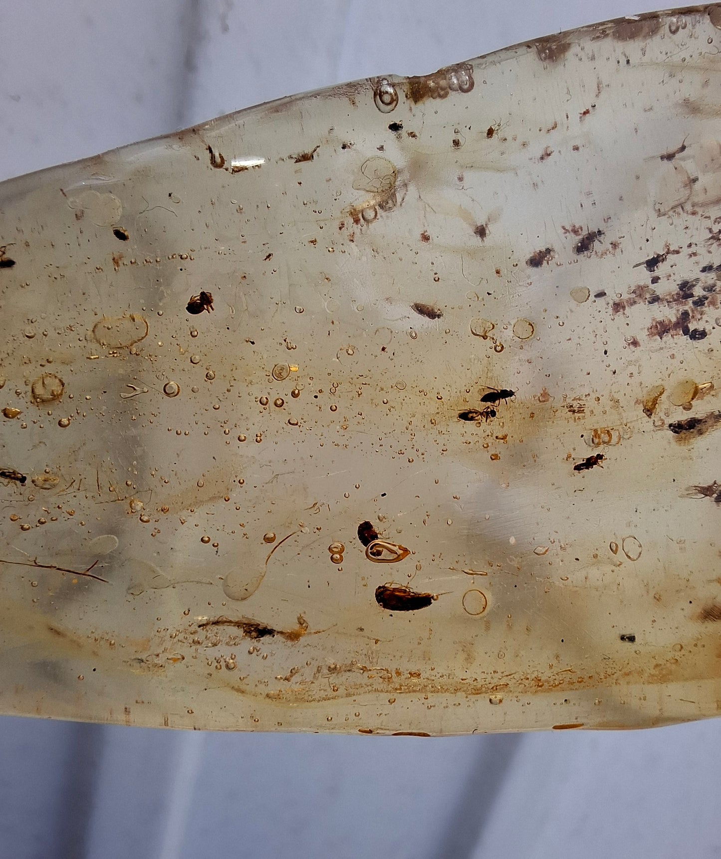 Copal Young Amber with INSECTS inside, 28.43g, Fossil (Ref: CA10)
