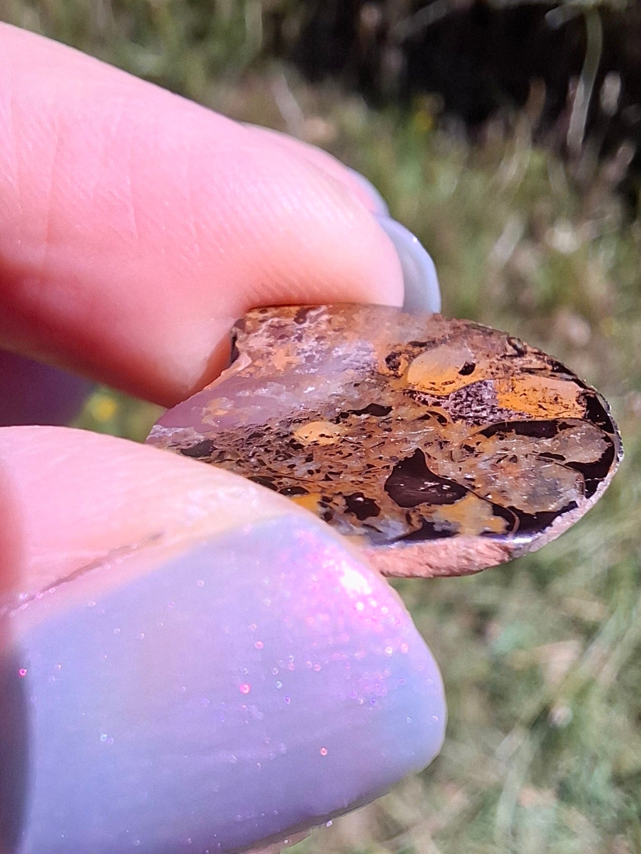Small Haematite Ammonite HALF, 2.59g, Fossil (Ref: MA7)