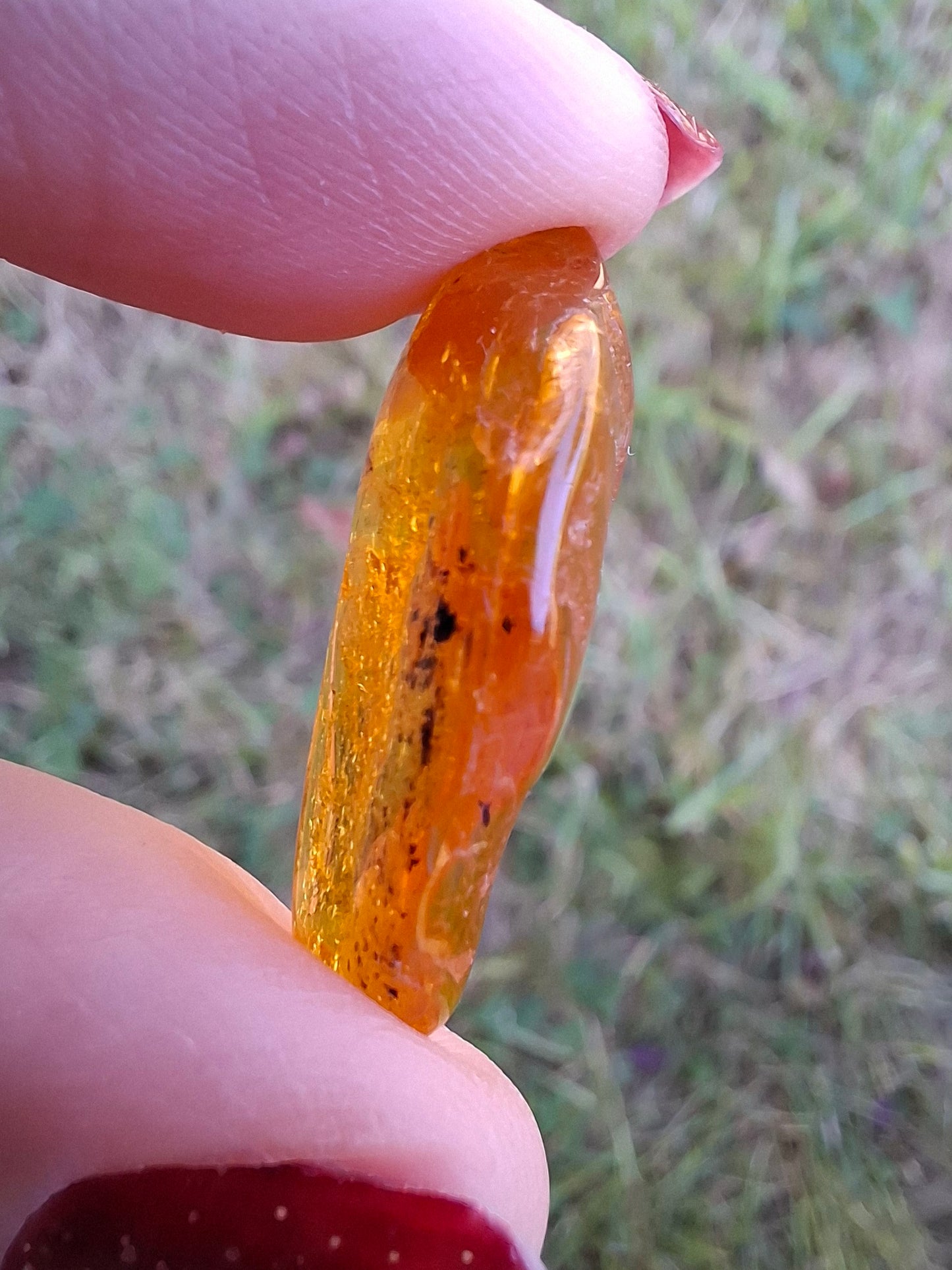 Baltic Amber, 1.39g, Fossil (Ref: A181)