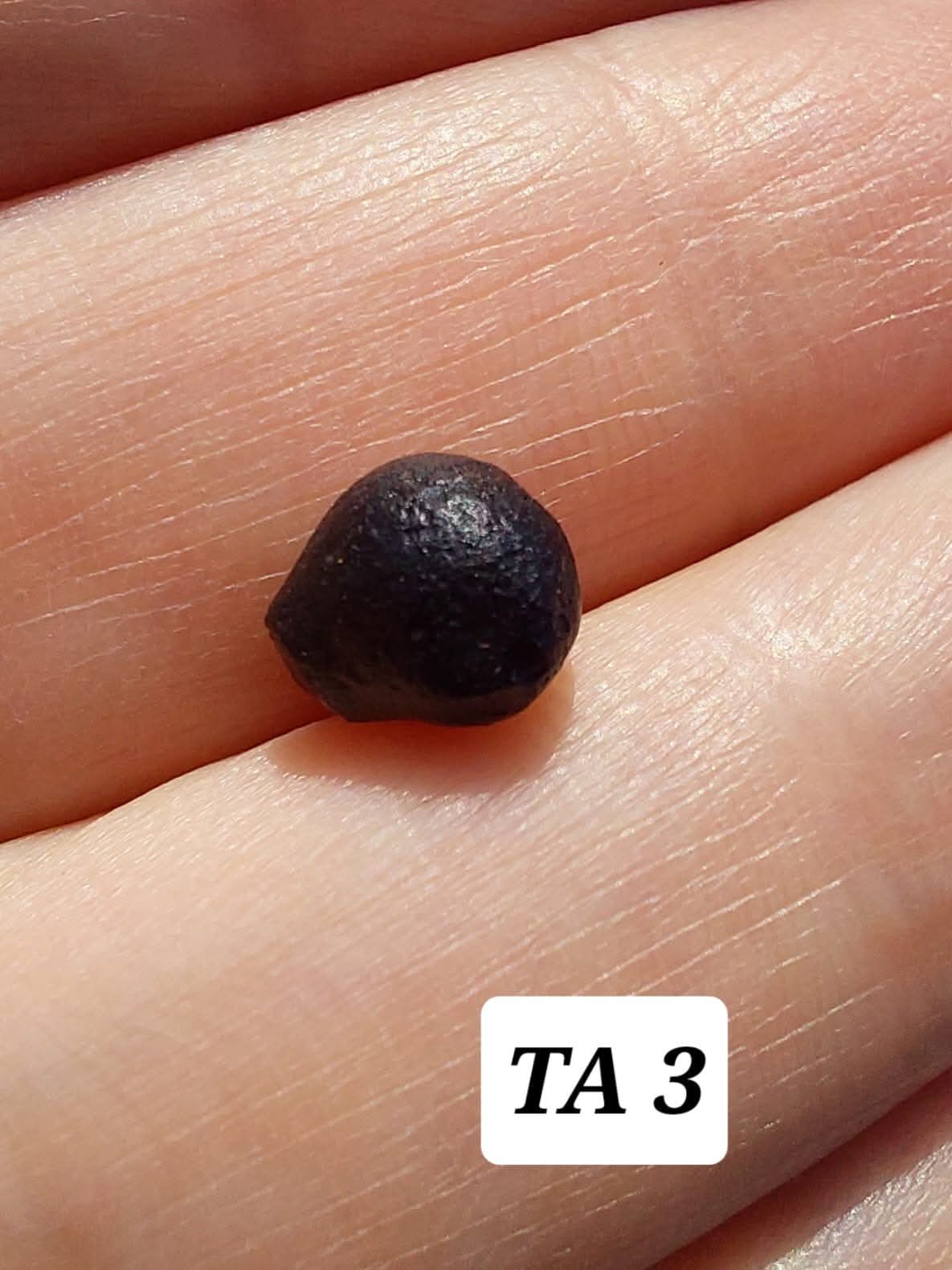 Atacamite, 0.37g, Tektite (Ref: TA3)