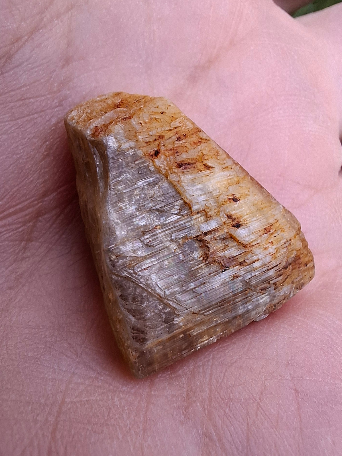 Diaspore (Zultanite), 6.86g, Crystal (Ref: DIS4)