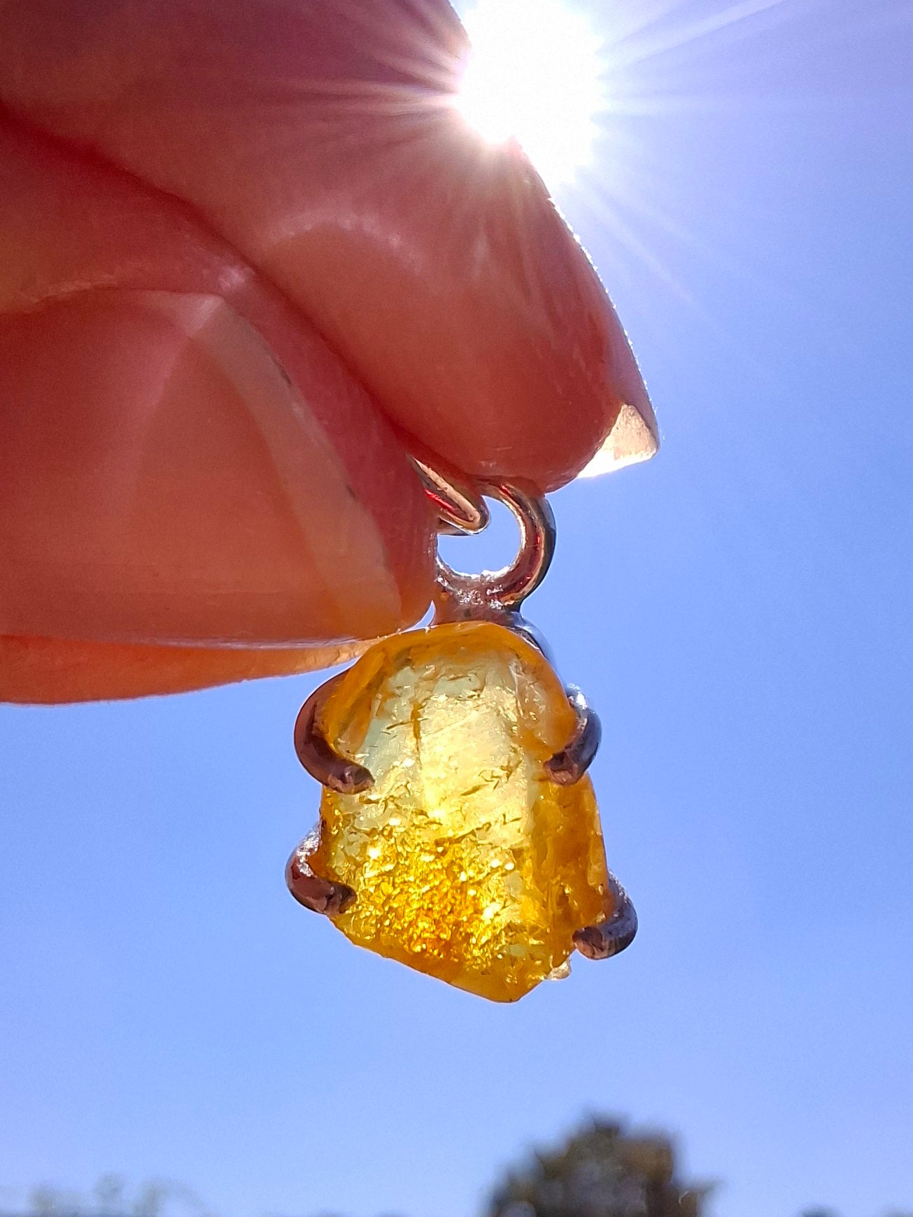 Baltic Amber Pendant, 925 Silver, Fossil (Ref: AP19)