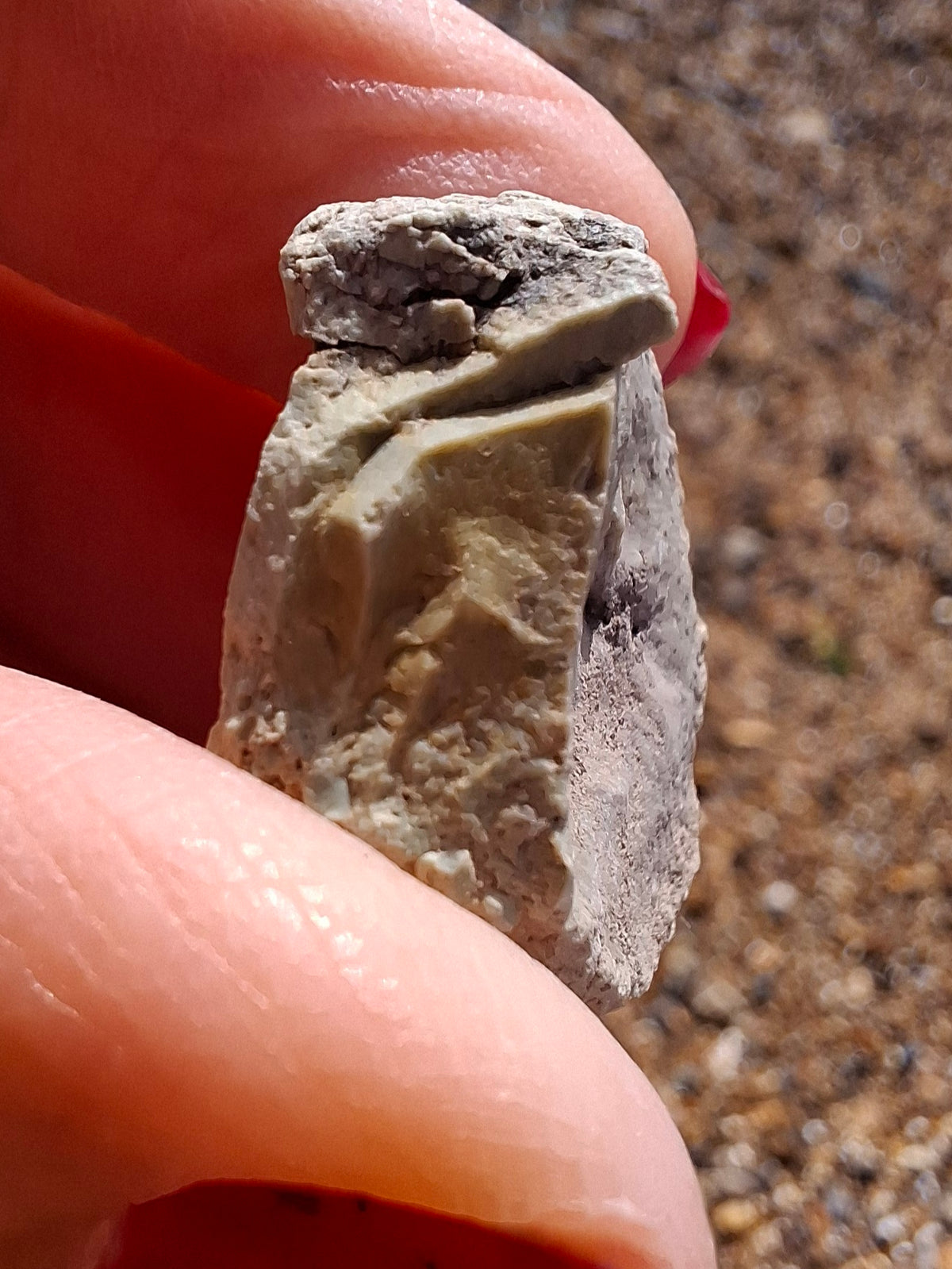 Sauropod Dinosaur Coprolite, 9.31g, Fossil (Ref: DP2)