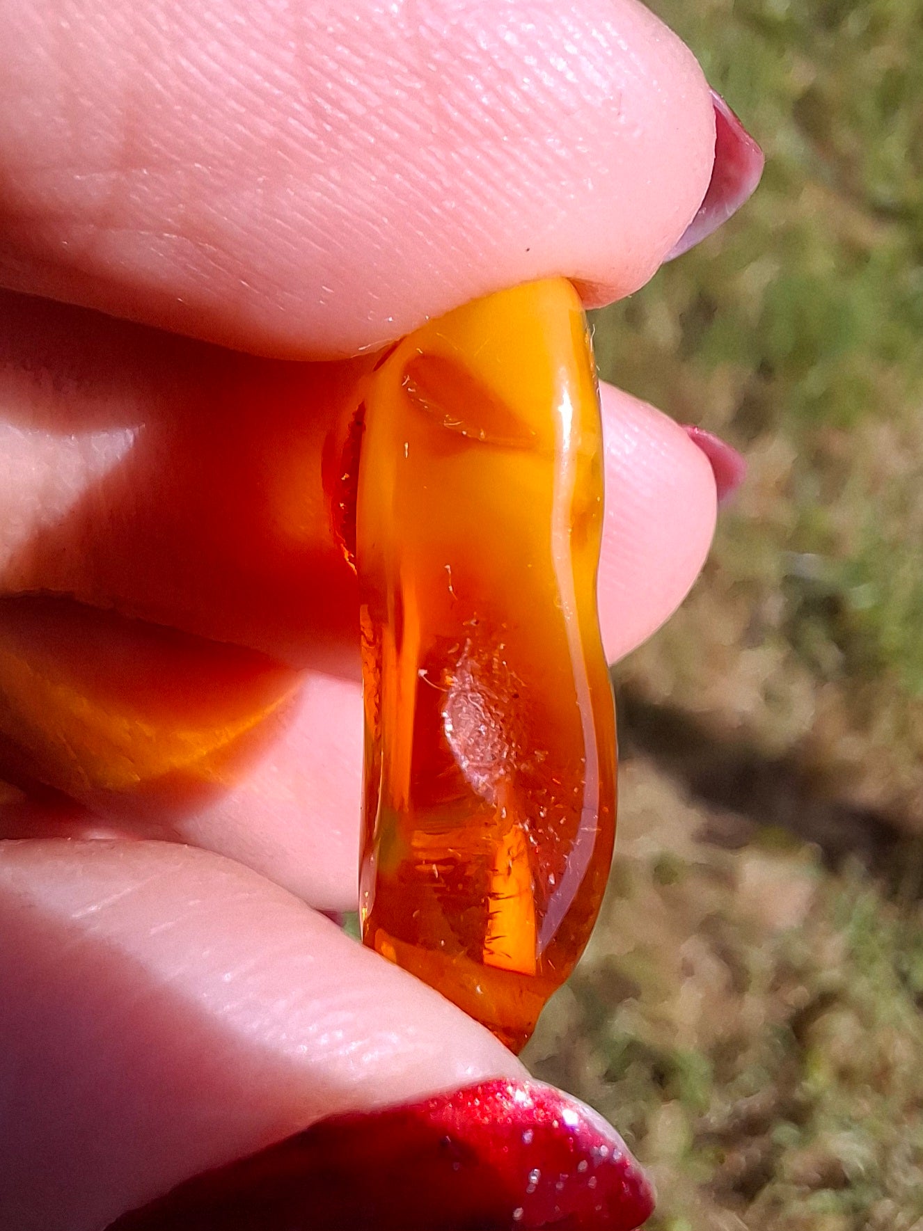 Baltic Amber, 1.52g, Fossil (Ref: A189)